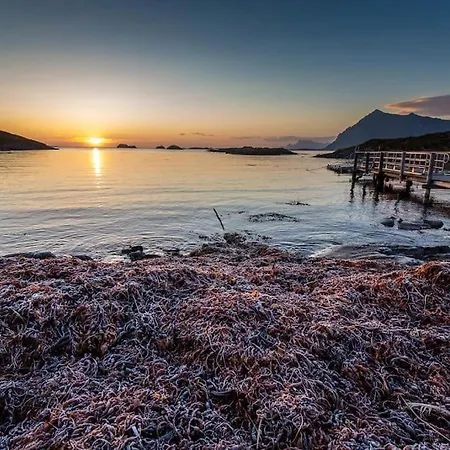Lofoten - New Apartment, Close To Airport. Apartamento *